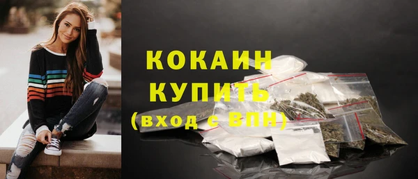 дмт Карпинск