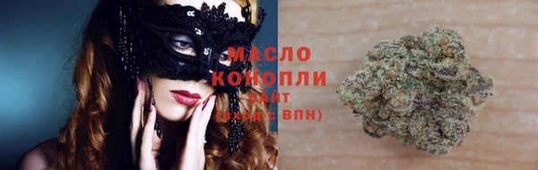 дмт Карпинск