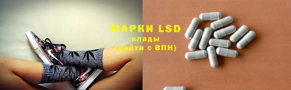 дмт Карпинск