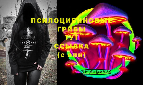 дмт Карпинск