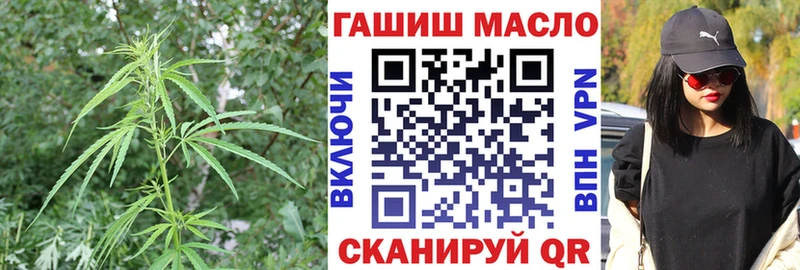 Купить где  Вольск  ТГК Wax 