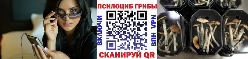 Псилоцибиновые грибы мухоморы  Купить где  Вольск 