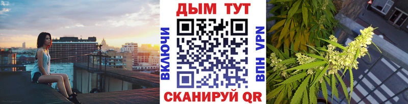 Купить закладки  Вольск  Канабис гибрид 